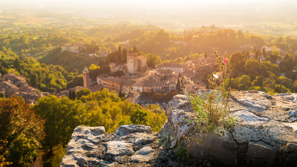 View of the Asolo ancient town from the walls of the Rocca di Asolo, flowers on the foreground